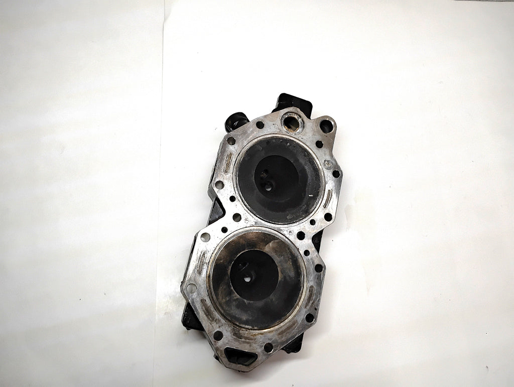 2014 Evinrude BRP ETEC 60 HP