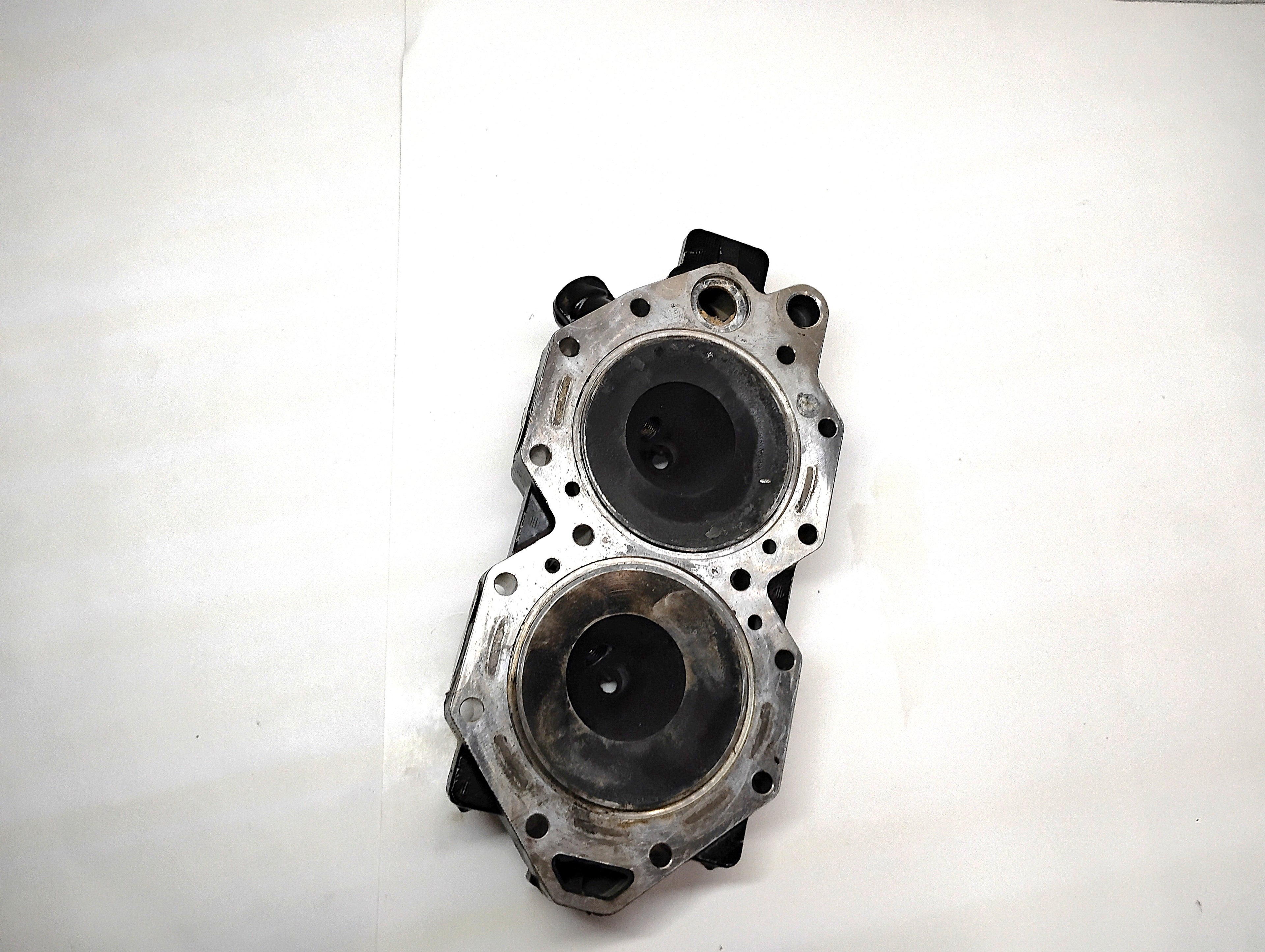 2014 Evinrude BRP ETEC 60 HP