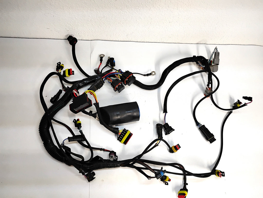 2014 Evinrude BRP ETEC 60 HP Main Wiring Harness 587286