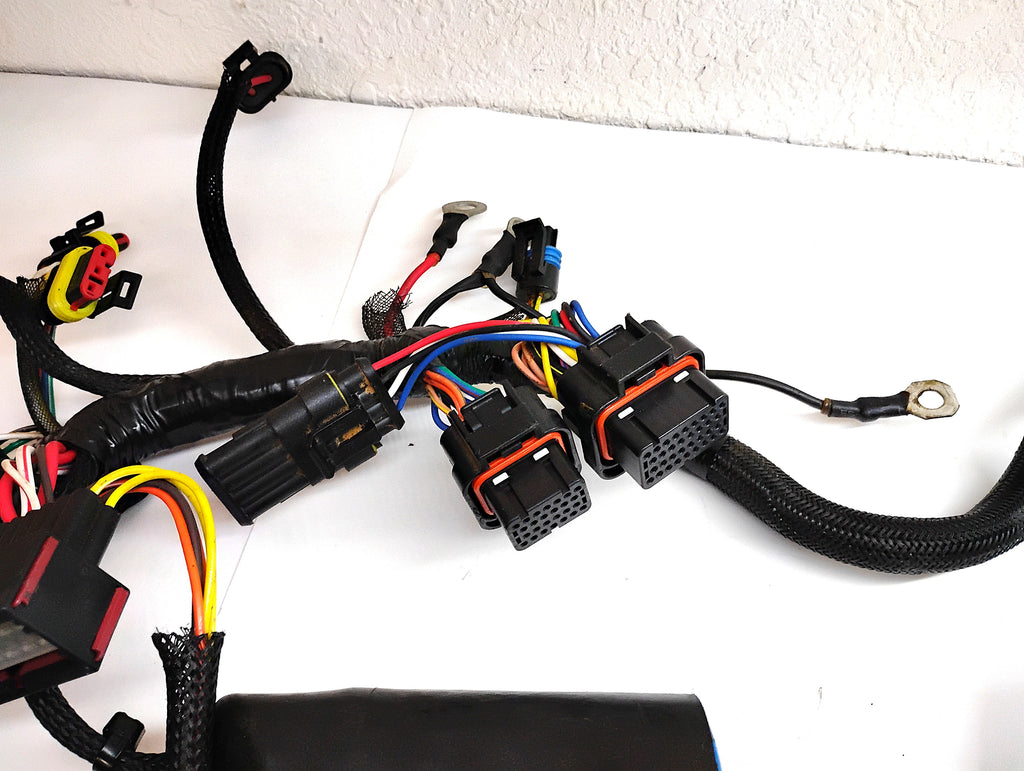 2014 Evinrude BRP ETEC 60 HP Main Wiring Harness 587286