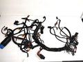 2005 Evinrude 225 HP HO Wiring Harness Loom